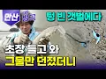 Download Lagu [경기 안산] \