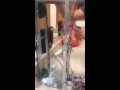3 1 7 pltw elevator
