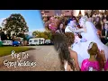 Gypsy Bride Has to Wake Up and Face Reality Big Fat Gypsy Weddings