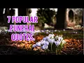 7 Popular Funeral Quotes Celebration of Life Bitter Sweet Funeral