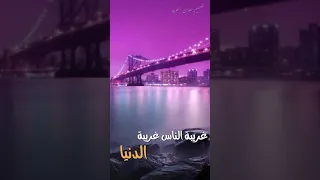 حالات واتس آب غريبة الناس دندنها