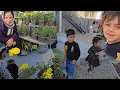 Download Lagu 🌸A Beautiful Day with the Sholiz Family ❤️ | Helping Pejman 🛠️ + Buying Flowers 💐 \u0026 Artificial Grass