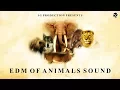 Download Lagu SOUNDCHECK - EDM OF ANIMALS SOUNDS | SG PRODUCTION