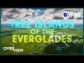 The Secret Islands of the Everglades