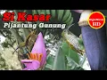 PIJANTUNG GUNUNG GACOR tembakan TAJAM dan KASAR, Speed RAPAT | MASTERAN MURAI BATU CENDET CUCAK IJO