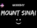 $uicideboy$ - Mount Sinai (Lyric Video) 😈