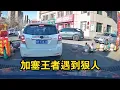 Download Lagu 加塞王者遇到狠人會發生什麼！囂張氣焰立刻道歉，誰還敢強行加塞？