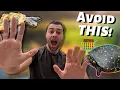 Where NOT To Buy Turtles