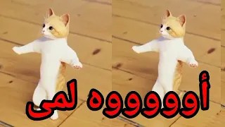 اغنية باسم لمى لما لولو سطلانة السعودية الكويت الامارات قطر العراق البحرين تركيا دبي الجزائر مسقط 