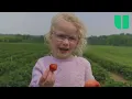 What is it like to rebuild a Giant Generational Family Farm Market Kasey and Rich s Story