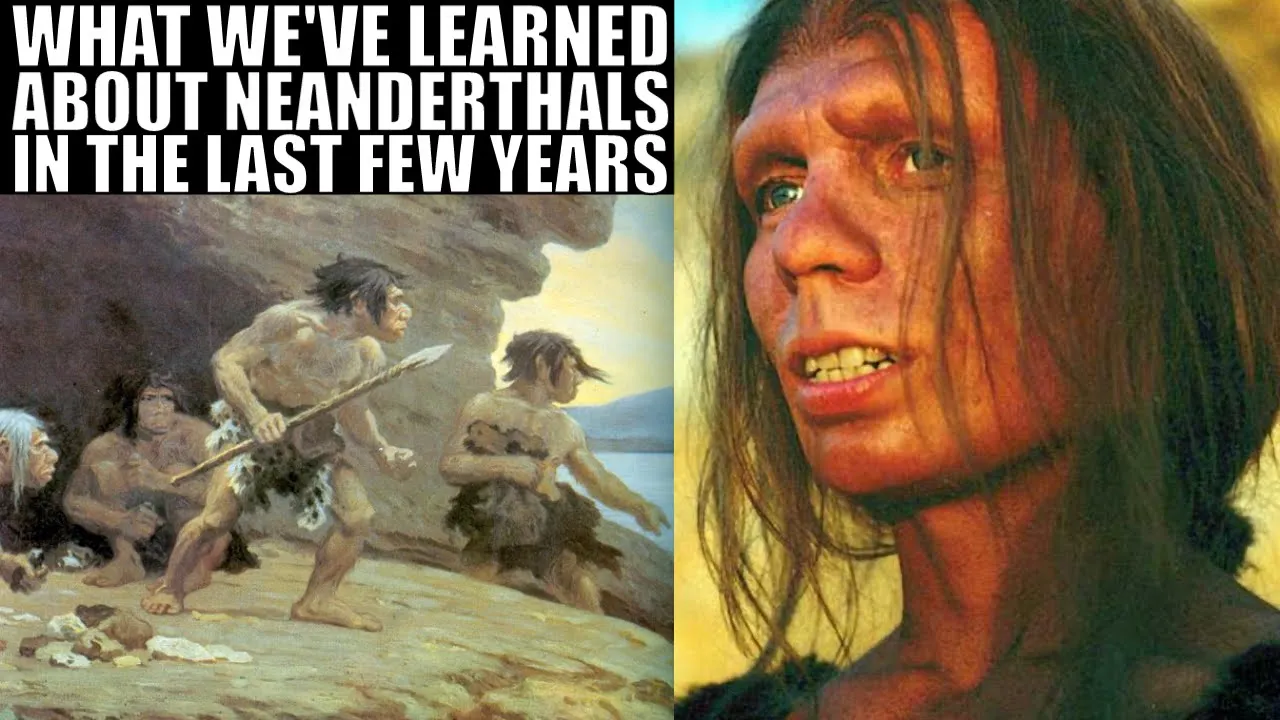 How Our Understanding of Neanderthals Changed in the Last Few Years