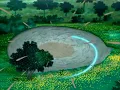 Download Lagu Sonic X Comparison: Sonic Saves The Chao Colony (Japanese VS English)