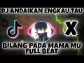 Download Lagu DJ ANDAIKAN ENGKAU TAU  FULL BEAT