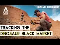 Tracking The Dinosaur Fossil Black Market From Desert To Dealer Bones Of Contention - Part