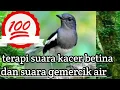 Download Lagu SUARA TERAPI KACER BETINA DAN GEMERCIK AIR UNTUK KACER STRES