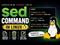 Sed Stream Editor command in linux Linux101