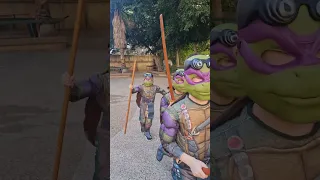 לא תאמינו צבי הנינג ה אמיתיים רון המאמן מצא אותם טאקוונדו Funny Taekwondo Ninjaturtles Ufc 