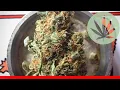 White Cookies - All About This Strain