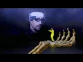 J. Balvin, Bad Bunny - QUÉ PRETENDES (Concierto Fornite)(Live)