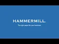Hammermill Papers - Copy Plus