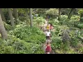 BOHO Bohemian Dining in a Secret Garden Hyde Park PRIVIT Event