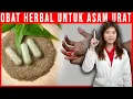 Download Lagu 5 Obat Herbal Murah Alami Indonesia untuk Sembuhkan Asam Urat
