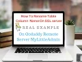 SQL Server Table Column Rename MyLittleAdmin sp - rename GoDaddy