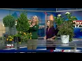 Pruning tips with Pike Nurseries and Joanne Feldman