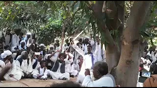 الفنان محمد اونور 