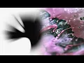 Download Lagu Robot Boy x Overflow | Linkin Park Mashup