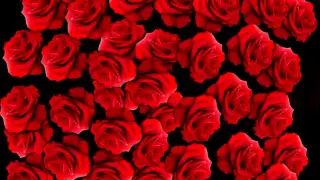 اغنيه الورد الاحمر سامو زين 