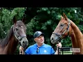 After Saving Two Horses from a Kill Pen Stewart Talks About America s Slaughter Problem