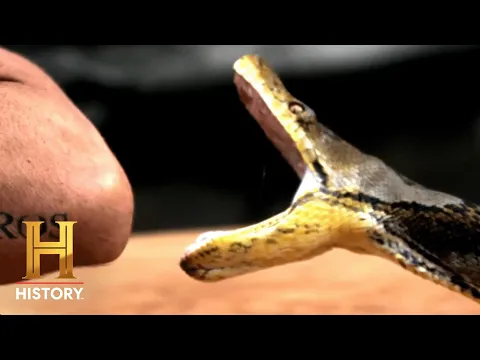 Kings Of Pain | Season Two Premieres Thurs. May 26 at 10:30/9:30c | HISTORY