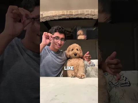 When Your Own Dog Doesn’t Trust You 😂