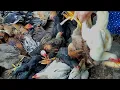 Download Lagu Update Harga Ayam Kampung, Pasar Ayam Baturetno 2, Wonogiri, Sabtu Pahing 27 September 2025