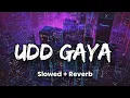 Download Lagu Udd Gaya (Slowed + Reverb ) B Praak | Janni