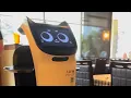 Robo Server The Boil Shack Seafood Restaurant Albany NY