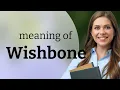 The Mystery of the Wishbone Explained