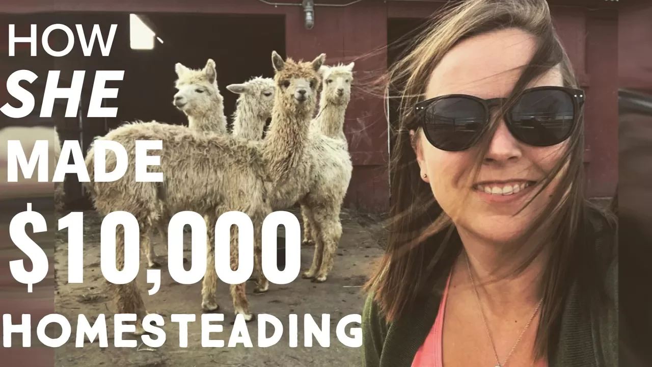 Whole House & Pool for less than $800/month in Puerto Morelos!