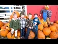 Our Favorite Fall Festival Cornbelly s 2019