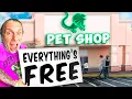 I Opened Another Free Reptile Pet Shop