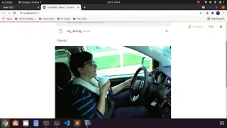 Distracted driver detection Demo