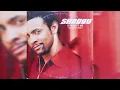 Shaggy - It Wasn't Me (Vocal 12" Mix)