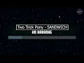 Sandwich | 2 Trick Pony🎤HQ Karaoke🎤