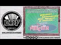 Download Lagu Forró Suco De Pimenta - Volume 4