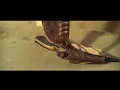 Trinty Titoli - Franco Micalizzi "Film Version 1970"