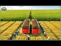 How China Recycles Millions Tons of Straw Waste Into High Value Products