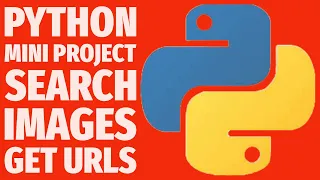 How to Get All Image URLs from Any Website Using Python Project 2025