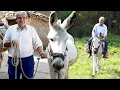 Lagu El BURRO, el mejor amigo del hombre en el PUEBLO y en el CAMPO. Fuerza, nobleza y tradición rural
