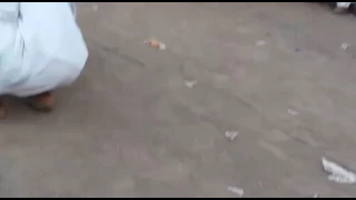 السلطان حافظ الباسـا سامحني يامريـود رحلة منتديات السلطان حافظ الباسا  السلطان حافظ الباسـا سامحني يامريـود رحلة منتديات السلطان حافظ الباسا